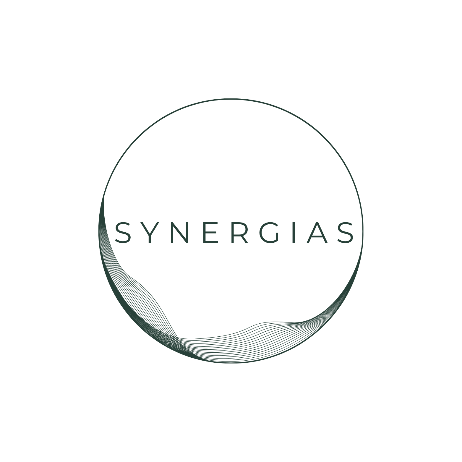 Synergias — Project & Operations Management Consultant